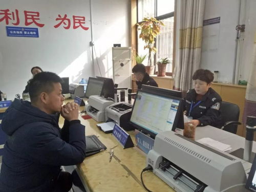 便民利企新舉措 石家莊交管服務窗口實行6天工作制，北京信息技術咨詢服務同步升級